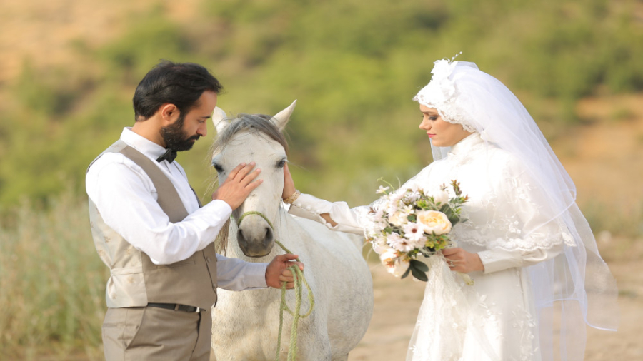فرمالیته